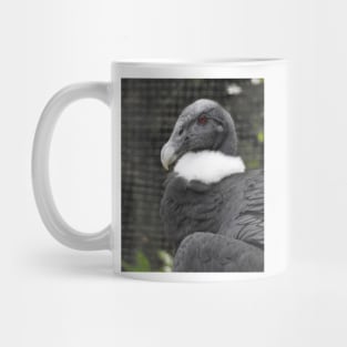 Andean Condor Mug